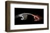 Robot & Human Fingers Touching-null-Framed Art Print