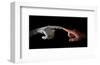 Robot & Human Fingers Touching-null-Framed Art Print