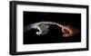 Robot & Human Fingers Touching-null-Framed Art Print