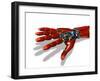 Robotic Hand-Victor Habbick-Framed Photographic Print