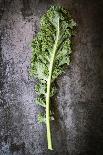 Kale Leaf, Overhead View on Dark Slate-Robyn Mackenzie-Framed Photographic Print