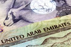 United Arab Emirates Dirham Banknotes in Closeup-Robyn Mackenzie-Photographic Print