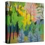 Stretched Canvas
