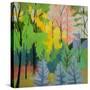 Stretched Canvas