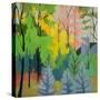 Stretched Canvas