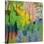 Stretched Canvas