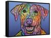 Rocco Custom-2-Dean Russo-Framed Stretched Canvas