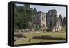 Roche Abbey, South Yorkshire, Yorkshire, England, United Kingdom, Europe-Rolf Richardson-Framed Stretched Canvas