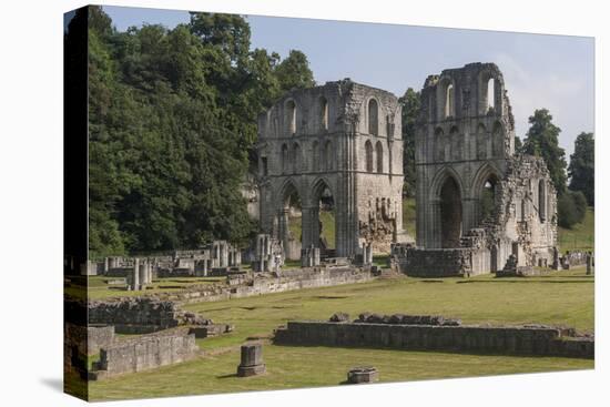 Roche Abbey, South Yorkshire, Yorkshire, England, United Kingdom, Europe-Rolf Richardson-Stretched Canvas