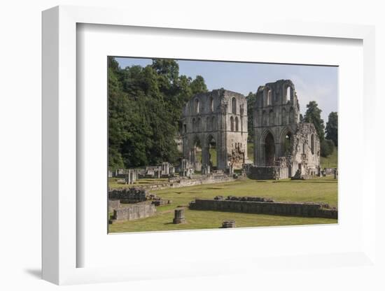 Roche Abbey, South Yorkshire, Yorkshire, England, United Kingdom, Europe-Rolf Richardson-Framed Photographic Print