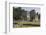 Roche Abbey, South Yorkshire, Yorkshire, England, United Kingdom, Europe-Rolf Richardson-Framed Photographic Print