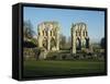 Roche Abbey, Yorkshire, England, United Kingdom, Europe-Scholey Peter-Framed Stretched Canvas