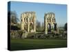 Roche Abbey, Yorkshire, England, United Kingdom, Europe-Scholey Peter-Stretched Canvas