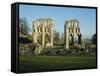 Roche Abbey, Yorkshire, England, United Kingdom, Europe-Scholey Peter-Framed Stretched Canvas