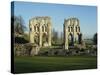 Roche Abbey, Yorkshire, England, United Kingdom, Europe-Scholey Peter-Stretched Canvas