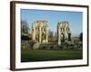 Roche Abbey, Yorkshire, England, United Kingdom, Europe-Scholey Peter-Framed Photographic Print