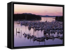 Roche Harbor Marina At dusk, San Juan Island, Washington, USA-Charles Gurche-Framed Stretched Canvas