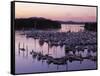 Roche Harbor Marina At dusk, San Juan Island, Washington, USA-Charles Gurche-Framed Stretched Canvas