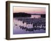 Roche Harbor Marina At dusk, San Juan Island, Washington, USA-Charles Gurche-Framed Photographic Print