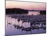 Roche Harbor Marina At dusk, San Juan Island, Washington, USA-Charles Gurche-Mounted Photographic Print