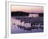 Roche Harbor Marina At dusk, San Juan Island, Washington, USA-Charles Gurche-Framed Photographic Print