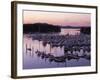 Roche Harbor Marina At dusk, San Juan Island, Washington, USA-Charles Gurche-Framed Photographic Print