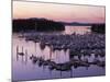 Roche Harbor Marina At dusk, San Juan Island, Washington, USA-Charles Gurche-Mounted Photographic Print