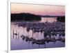 Roche Harbor Marina At dusk, San Juan Island, Washington, USA-Charles Gurche-Framed Photographic Print