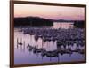 Roche Harbor Marina At dusk, San Juan Island, Washington, USA-Charles Gurche-Framed Photographic Print