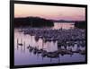 Roche Harbor Marina At dusk, San Juan Island, Washington, USA-Charles Gurche-Framed Photographic Print