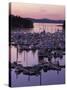 Roche Harbor Marina At dusk, San Juan Island, Washington, USA-Charles Gurche-Stretched Canvas