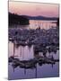 Roche Harbor Marina At dusk, San Juan Island, Washington, USA-Charles Gurche-Mounted Premium Photographic Print