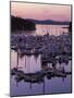 Roche Harbor Marina At dusk, San Juan Island, Washington, USA-Charles Gurche-Mounted Photographic Print