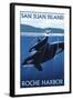 Roche Harbor - San Juan Island, Washington - Orca and Calf-Lantern Press-Framed Art Print