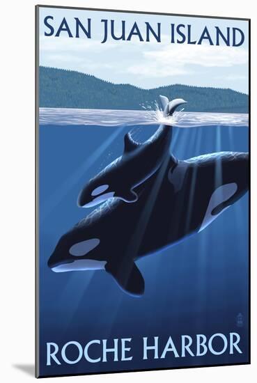 Roche Harbor - San Juan Island, Washington - Orca and Calf-Lantern Press-Mounted Art Print