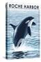 Roche Harbor, WA - Orca Jumping-Lantern Press-Stretched Canvas