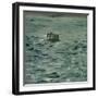 Rochefort's Escape, Ca 1881-Edouard Manet-Framed Giclee Print