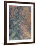 Rochers et branches à Bibémus-Paul Cézanne-Framed Giclee Print