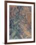 Rochers et branches à Bibémus-Paul Cézanne-Framed Giclee Print