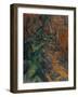 Rochers et branches à Bibémus-Paul Cézanne-Framed Giclee Print