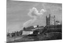 Wood Mount