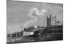 Wood Mount