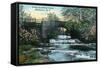 Rochester, New York - Allen's Creek Scene-Lantern Press-Framed Stretched Canvas