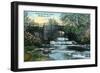 Rochester, New York - Allen's Creek Scene-Lantern Press-Framed Art Print