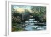 Rochester, New York - Allen's Creek Scene-Lantern Press-Framed Art Print