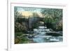 Rochester, New York - Allen's Creek Scene-Lantern Press-Framed Art Print