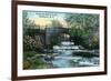 Rochester, New York - Allen's Creek Scene-Lantern Press-Framed Art Print