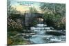 Rochester, New York - Allen's Creek Scene-Lantern Press-Mounted Art Print