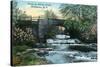 Rochester, New York - Allen's Creek Scene-Lantern Press-Stretched Canvas