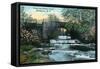 Rochester, New York - Allen's Creek Scene-Lantern Press-Framed Stretched Canvas